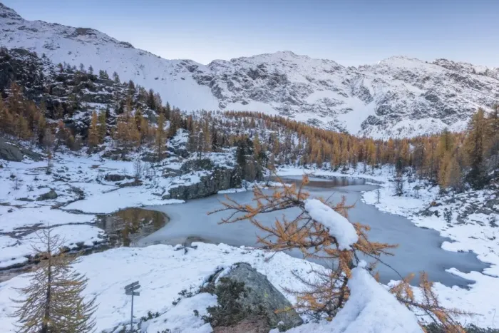 Framed Print : Red larches frame the frozen Lake Mufule, Malenco Valley, Province of Sondrio, Valtellina Framed Print : Red larches frame the frozen Lake Mufule, Malenco Valley, Province of Sondrio, Valtellina