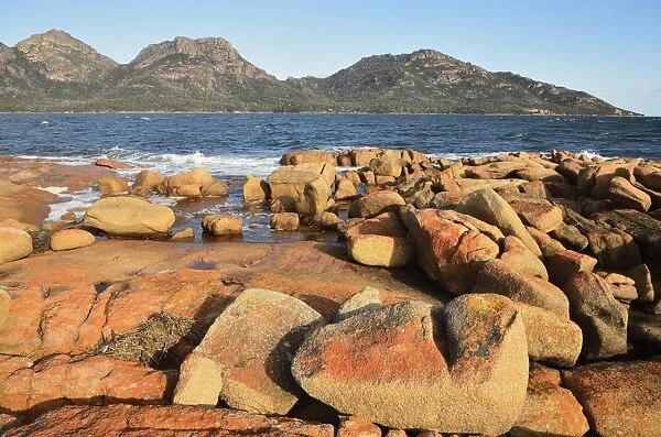 Red lichen on rocks, The Hazards and Coles Bay, Freycinet National Park