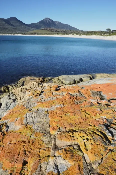 Framed Print : Red lichen on rocks, Wineglass Bay, Freycinet National Park, Freycinet Peninsula Framed Print : Red lichen on rocks, Wineglass Bay, Freycinet National Park, Freycinet Peninsula