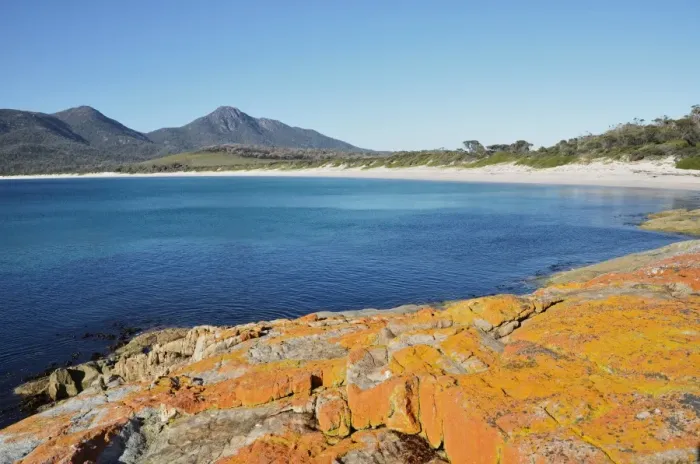 Framed Print : Red lichen on rocks, Wineglass Bay, Freycinet National Park, Freycinet Peninsula