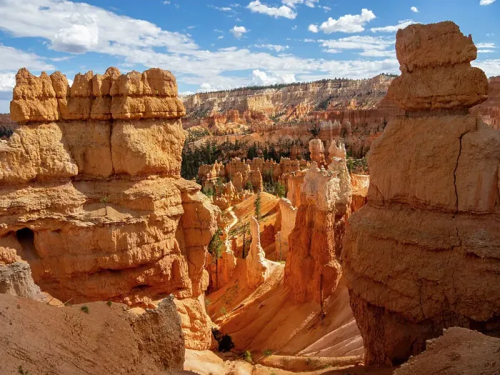 Framed Print : Red rock formations known as hoodoos in Bryce Canyon National Park, Utah, United States of America, North America Framed Print : Red rock formations known as hoodoos in Bryce Canyon National Park, Utah, United States of America, North America