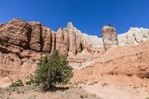 Red rock sandstone formations on the Grand Parade Trail, Kodachrome Basin State Park