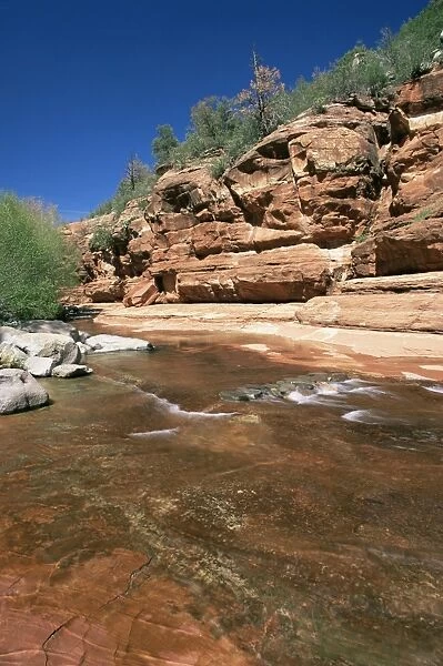 Red rocks towering above the shallow waters of Oak Creek