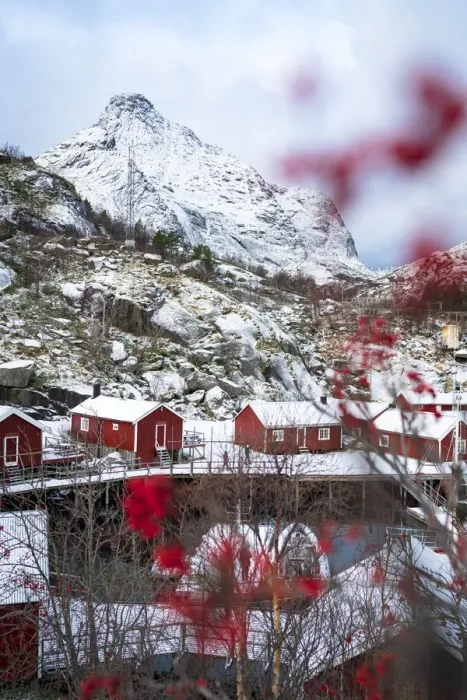 Framed Print : Red Rorbu cabins framed by snowcapped mountains in winter, Nusfjord, Nordland county, Lofoten Islands, Norway, Scandinavia, Europe Framed Print : Red Rorbu cabins framed by snowcapped mountains in winter, Nusfjord, Nordland county, Lofoten Islands, Norway, Scandinavia, Europe