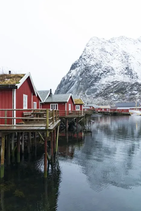 Framed Print : Red Rorbu cabins with grass roof in the small port of Reine, Nordland county, Lofoten Islands, Norway, Scandinavia, Europe