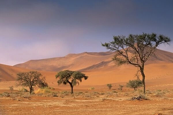 Red sand dunes rising up to 300m, Sossusvlei valley in Namib-Naukluft Park