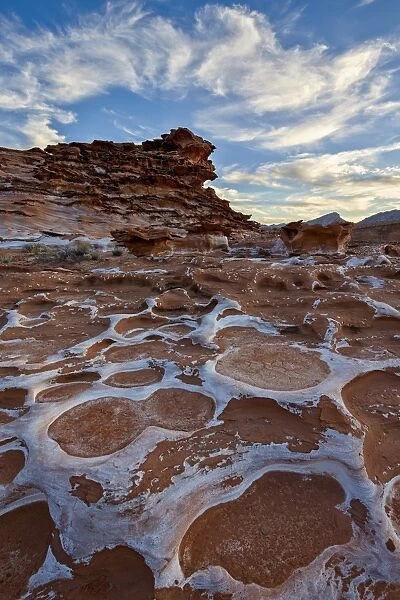 Red sandstone covered with salt, Gold Butte, Nevada, United States of America, North America