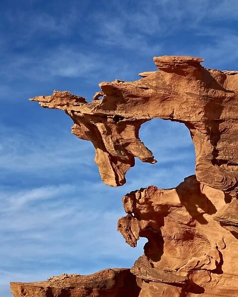 Red sandstone finger, Gold Butte, Nevada, United States of America, North America