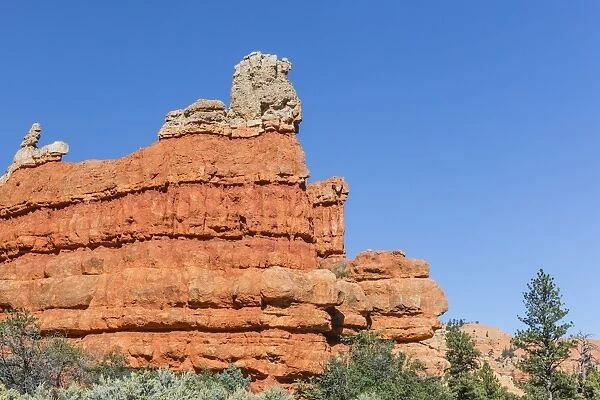 Red sandstone formations in Red Canyon, Dixie National Forest, Utah, United States of America, North America