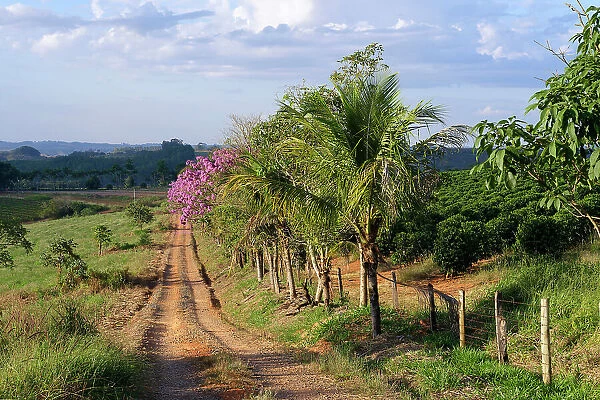 Red soil road, Serra da Canastra landscape, Minas Gerais state, Brazil, South America