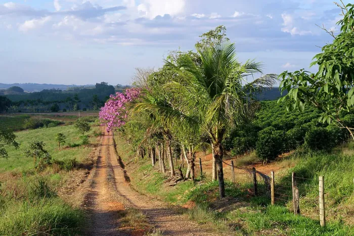 Framed Print : Red soil road, Serra da Canastra landscape, Minas Gerais state, Brazil, South America Framed Print : Red soil road, Serra da Canastra landscape, Minas Gerais state, Brazil, South America