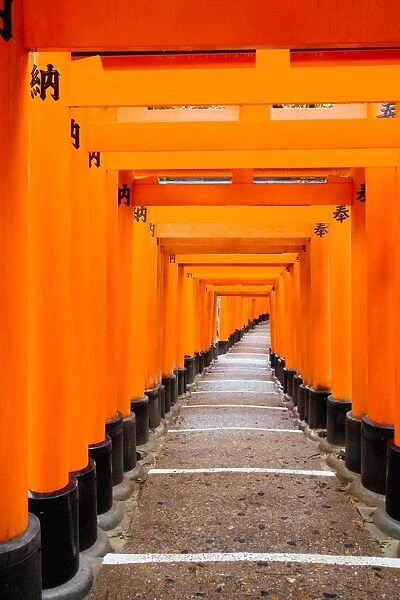 Red Torii gates, Fushimi Inari Taisha Shrine, Kyoto, Kansai Region, Honshu, Japan, Asia