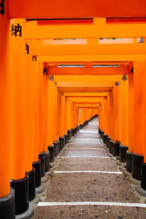 Framed Print : Red Torii gates, Fushimi Inari Taisha Shrine, Kyoto, Kansai Region, Honshu, Japan, Asia Framed Print : Red Torii gates, Fushimi Inari Taisha Shrine, Kyoto, Kansai Region, Honshu, Japan, Asia
