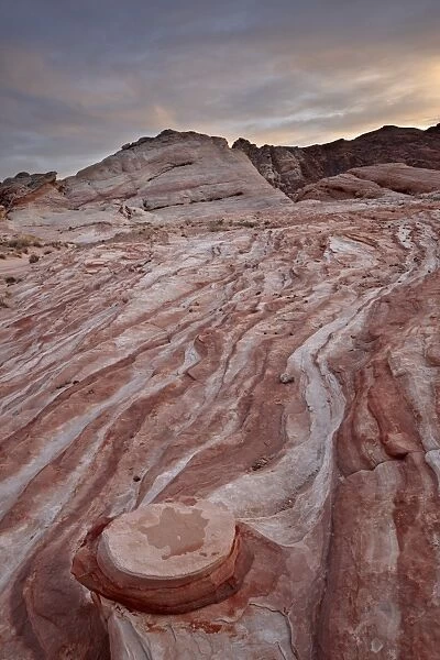 Red and white sandstone layers with colorful clouds at sunset, Valley of Fire State Park, Nevada, United States of America, North America
