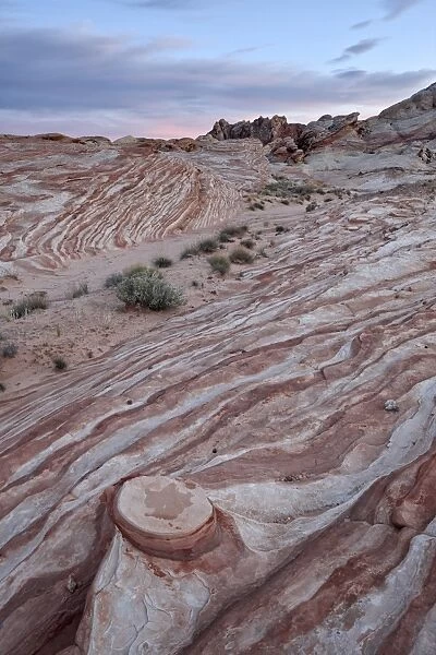 Red and white sandstone layers with colorful clouds at sunset, Valley Of Fire State Park, Nevada, United States of America, North America