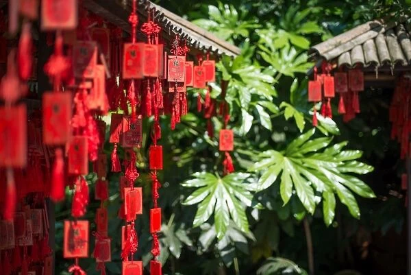 Red wooden Buddhist good luck charms and tropical vegetation, Hangzhou, Zhejiang