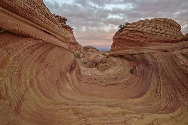 Red and yellow sandstone wave channel, Coyote Buttes Wilderness, Vermilion Cliffs National Monument