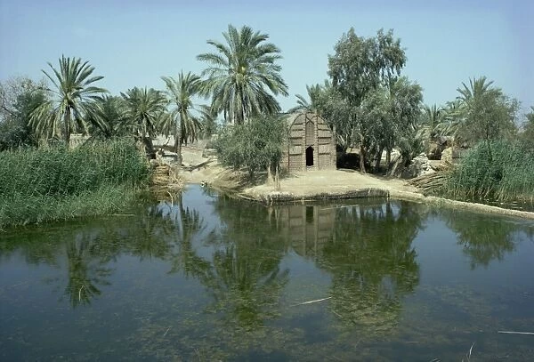 Reed houses at Shobalish, Marshes, Iraq, Middle East