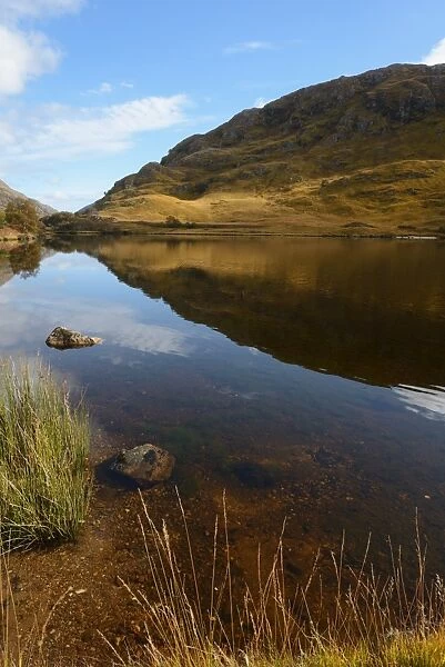 Reflection of autumn colours, Loch Eilt, Highlands, Scotland, United Kingdom, Europe