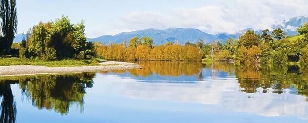 Reflection of autumn trees on the Takaka River, Golden Bay, Tasman Region, South Island, New Zealand, Pacific