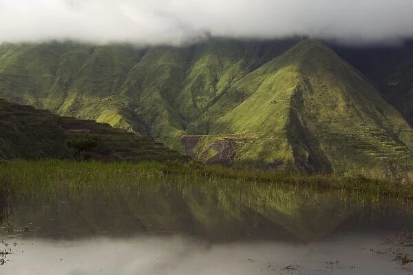 Reflection of cloud and mountains in rice terrace along hiking trail