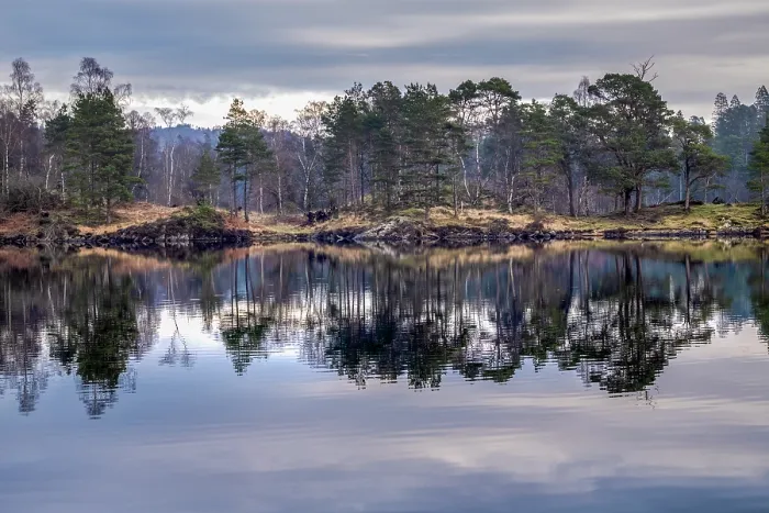Framed Print : Reflection of winter trees in the still water of Tarn Hows, Lake District National Park, United Kingdom Framed Print : Reflection of winter trees in the still water of Tarn Hows, Lake District National Park, United Kingdom