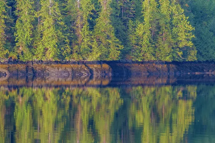 Framed Print : Reflections in the calm waters of Jackson Pass Provincial Marine Park, British Columbia, Canada, North America Framed Print : Reflections in the calm waters of Jackson Pass Provincial Marine Park, British Columbia, Canada, North America