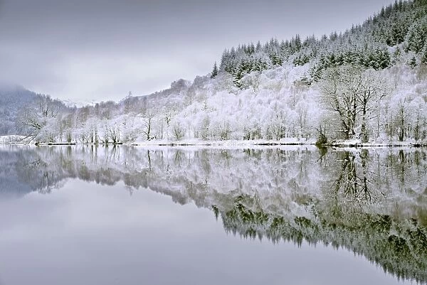 Reflections on Loch Chon in winter, Aberfoyle, Stirling, The Trossachs, Scotland