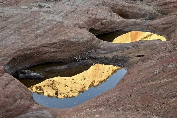 Reflections in pools among the sandstone, Zion National Park, Utah, United States of America, North America