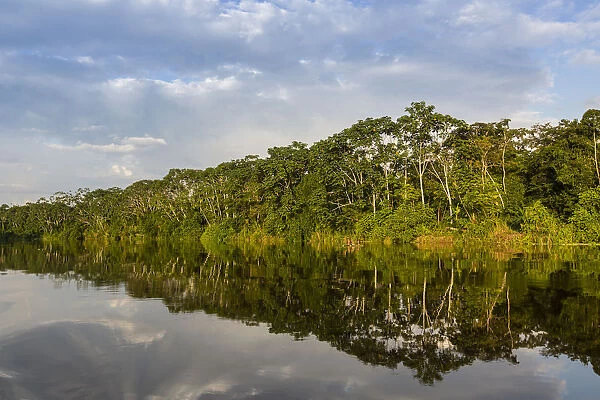 Reflections of the riverbank on Yanayacu Lake, Rio Pacaya, Pacaya-Samiria Reserve