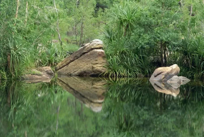 Framed Print : Reflections of rocks and Pandanus species in the waters of Jim Jim Creek in Kakadu National Park Framed Print : Reflections of rocks and Pandanus species in the waters of Jim Jim Creek in Kakadu National Park