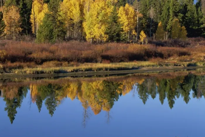 Framed Print : Reflections in Snake River, Grand Tetons National Park, Wyoming, United States of America Framed Print : Reflections in Snake River, Grand Tetons National Park, Wyoming, United States of America