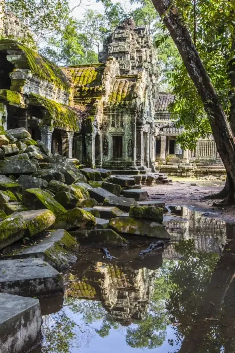Framed Print : Reflections at Ta Prohm Temple (Rajavihara), Angkor, UNESCO World Heritage Site, Siem Reap Province, Cambodia, Indochina, Southeast Asia, Asia Framed Print : Reflections at Ta Prohm Temple (Rajavihara), Angkor, UNESCO World Heritage Site, Siem Reap Province, Cambodia, Indochina, Southeast Asia, Asia
