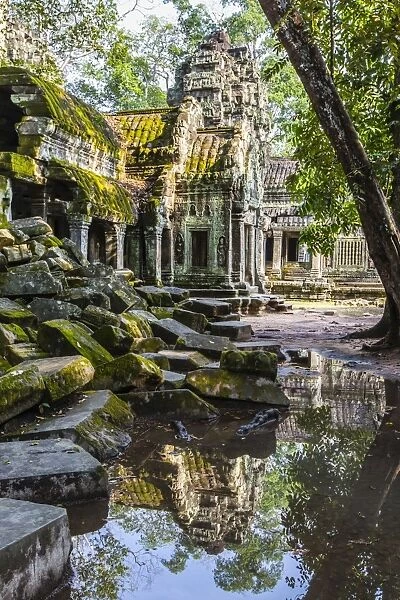 Reflections at Ta Prohm Temple (Rajavihara), Angkor, UNESCO World Heritage Site, Siem Reap Province, Cambodia, Indochina, Southeast Asia, Asia