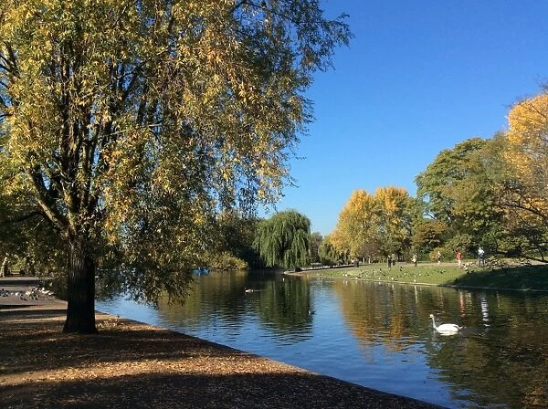 Regents Park in the autumn, London, England, United Kingdom, Europe