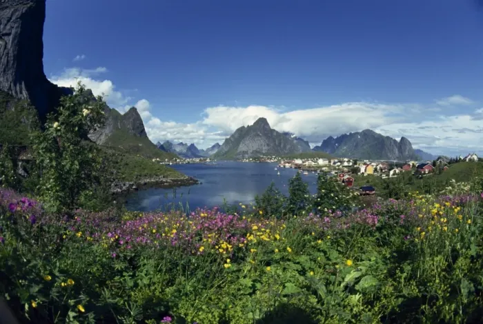 Framed Print : Reine Lofoten in summer Framed Print : Reine Lofoten in summer
