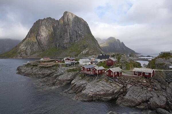 Reine village with typical red rorbuer and cod drying flakes, Moskenesoy island