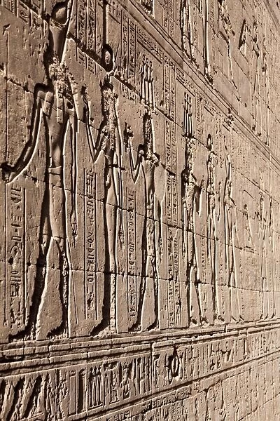 Relief carving in the ancient Egyptian Temple of Edfu, Egypt, North Africa, Africa