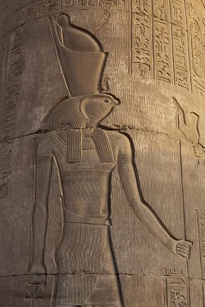 Relief carving in the ancient Egyptian Temple of Kom Ombo near Aswan, Egypt, North Africa, Africa