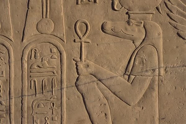 Detail of relief carving of the crocodile god, Kom Ombo, Egypt, North Africa, Africa