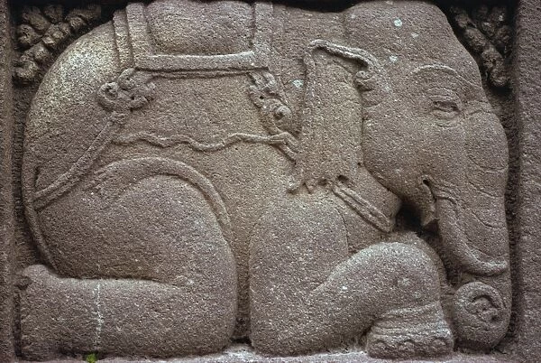 Relief carving of a kneeling elephant on the Hindu