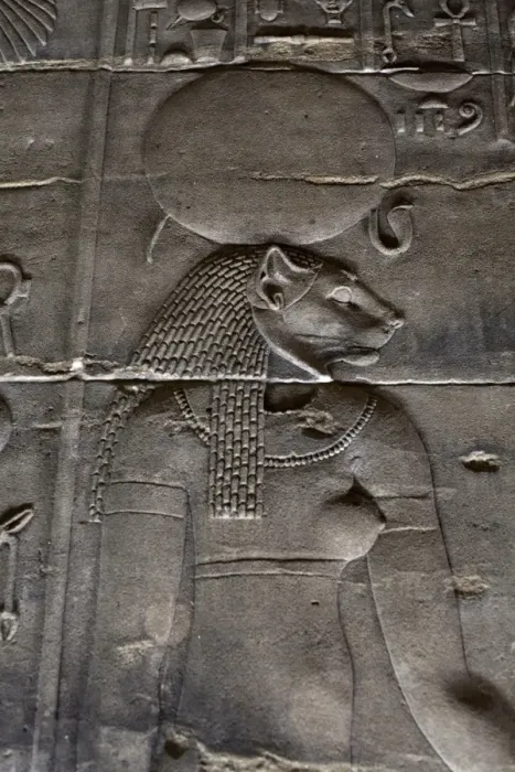 Framed Print : Relief carvings adorn the walls of the Temple of Philae, UNESCO World Heritage Site Framed Print : Relief carvings adorn the walls of the Temple of Philae, UNESCO World Heritage Site