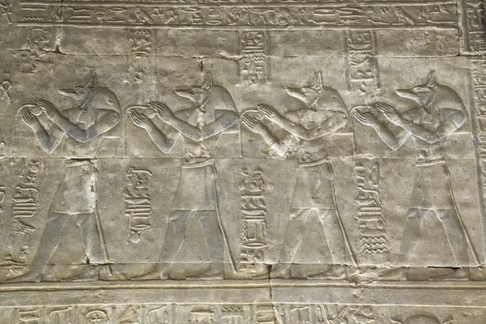Framed Print : Relief depicting the God Anubis, Temple of Horus, Edfu, Egypt, North Africa, Africa Framed Print : Relief depicting the God Anubis, Temple of Horus, Edfu, Egypt, North Africa, Africa