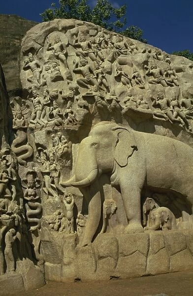 Reliefs at Mahabalipuram, UNESCO World Heritage Site, near Madras, India, Asia