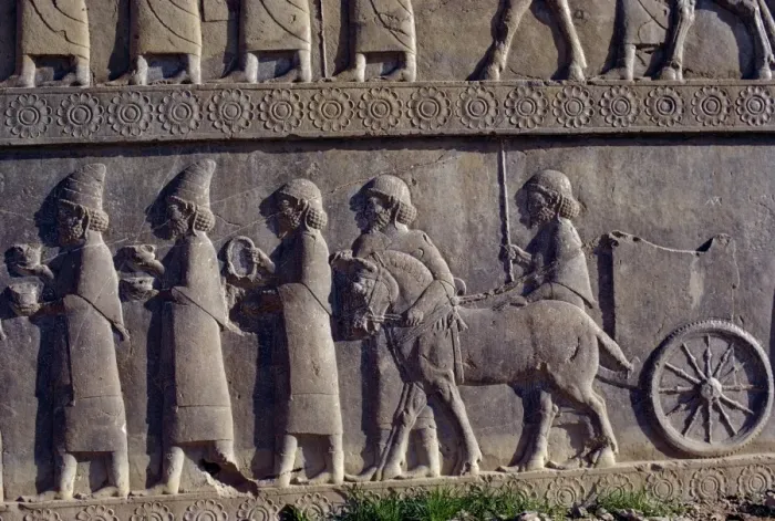 Framed Print : Reliefs, Persepolis Framed Print : Reliefs, Persepolis