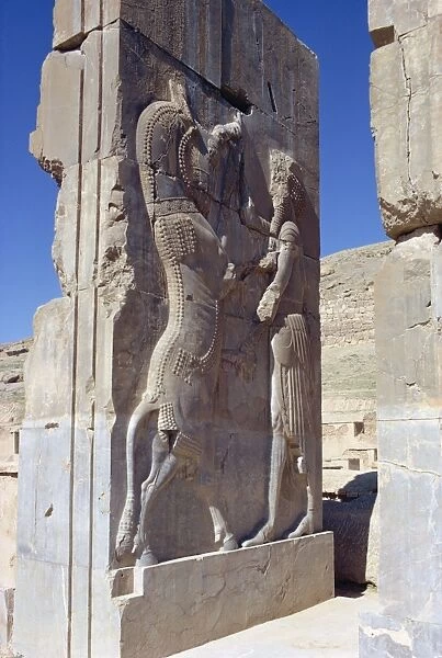 Reliefs, Persepolis