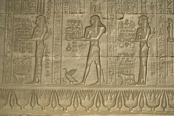 Reliefs, Temple of Hathor, Dendera, Egypt, North Africa, Africa