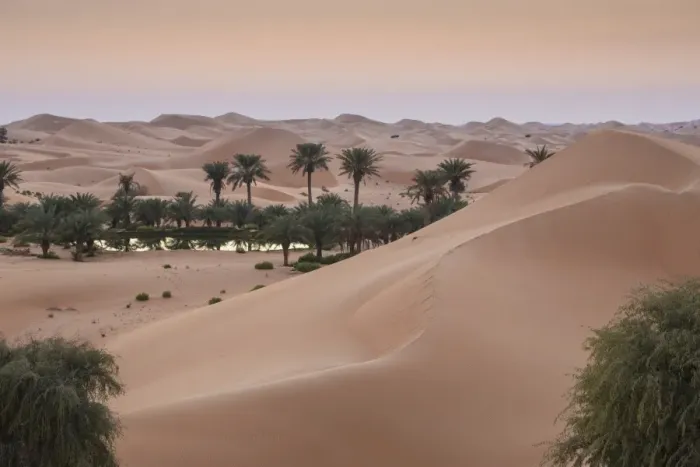 Framed Print : Remah Desert, Al Ain, Abu Dhabi, United Arab Emirates, Middle East Framed Print : Remah Desert, Al Ain, Abu Dhabi, United Arab Emirates, Middle East