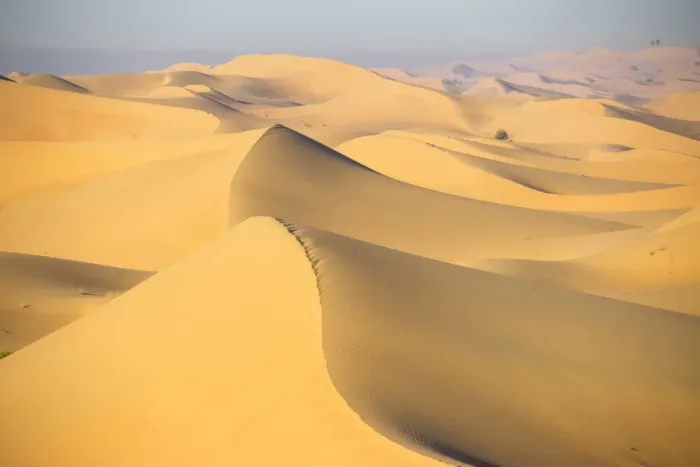 Framed Print : Remah Desert, Al Ain, Abu Dhabi, United Arab Emirates, Middle East Framed Print : Remah Desert, Al Ain, Abu Dhabi, United Arab Emirates, Middle East