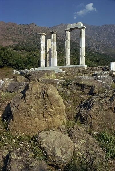 Remaining Doric columns